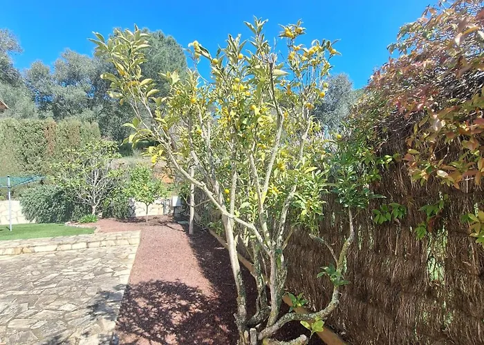 Molino Piscina Bbq *